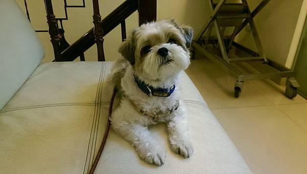 104.01.15coffee第二次點眼睛液態氮