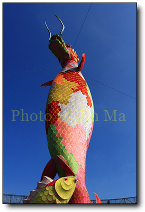 鰲躍龍庭 鰲躍龍庭