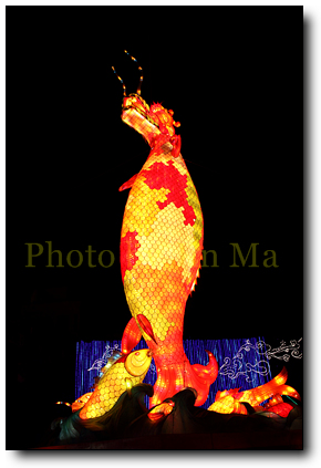 鰲躍龍庭(夜景) 鰲躍龍庭(夜景)