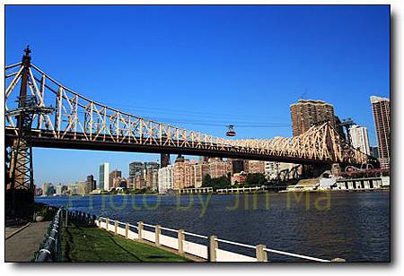 Roosevelt island