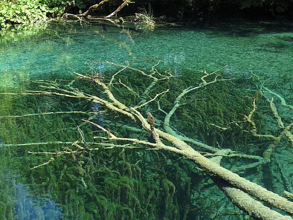 Plitvice 12