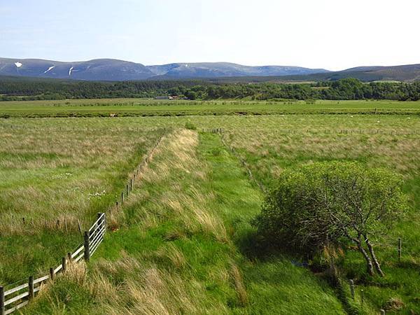 scotland 16.JPG scotland 16.JPG