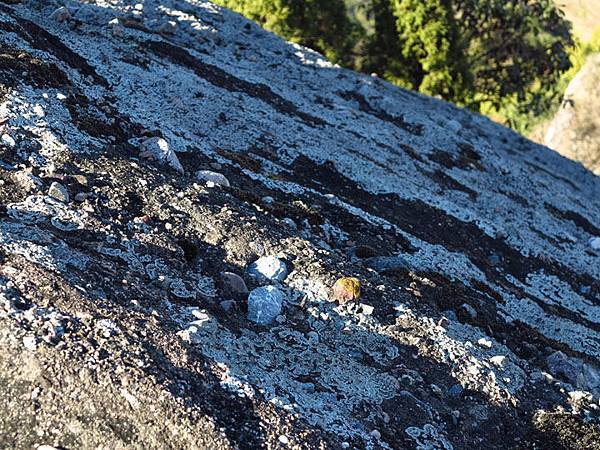 guanzhai 14.JPG guanzhai 14.JPG