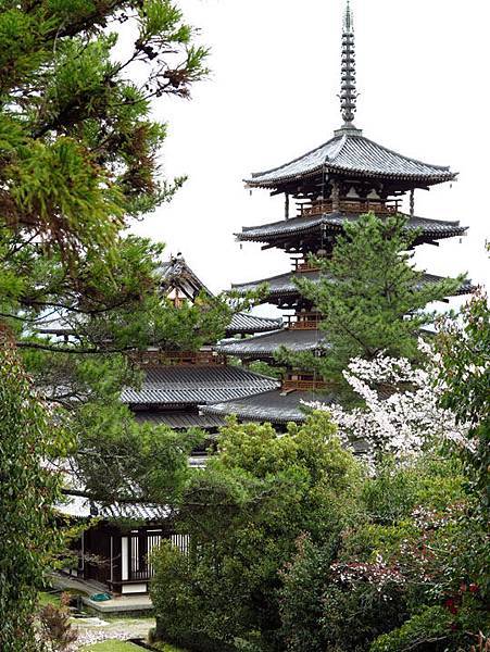 Nara w13.JPG