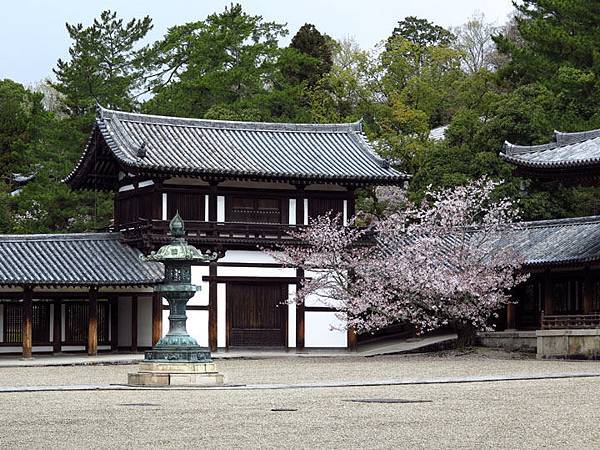 Nara w20.JPG
