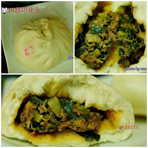 cats1124.jpg cats1124.jpg