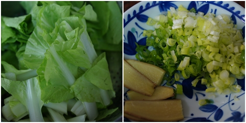 12345s.jpg 12345s.jpg