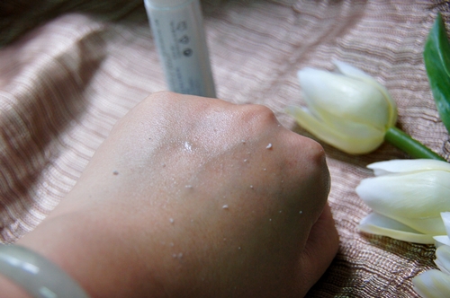 DSC02567.JPG DSC02567.JPG