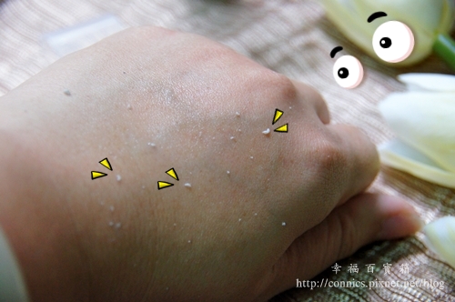 DSC02569.JPG DSC02569.JPG