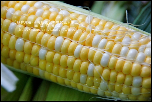 DSC02617.JPG DSC02617.JPG