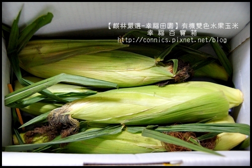 DSC02602.JPG DSC02602.JPG