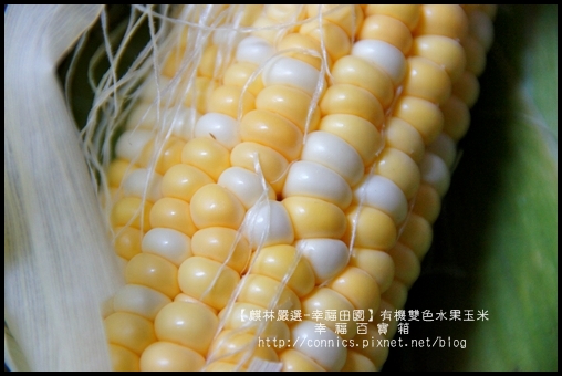 DSC02624.JPG DSC02624.JPG