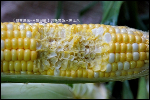 DSC02634.JPG DSC02634.JPG