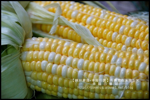 DSC02629.JPG DSC02629.JPG