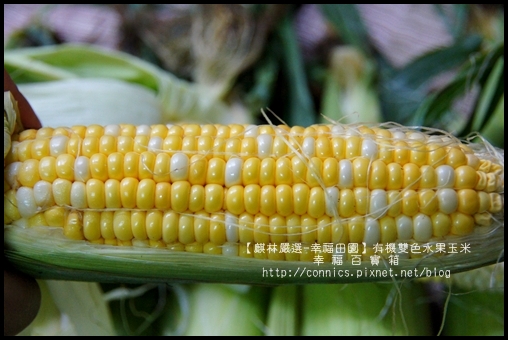 DSC02632.JPG DSC02632.JPG