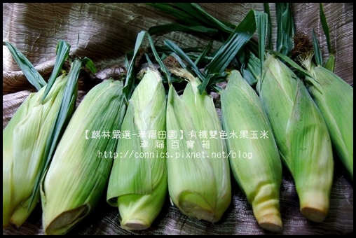 DSC02606.JPG DSC02606.JPG