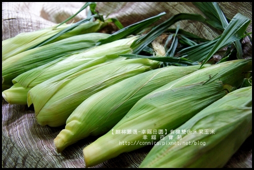 DSC02607.JPG DSC02607.JPG