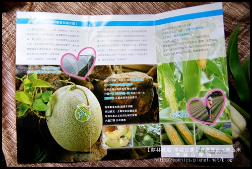 DSC02597.JPG DSC02597.JPG