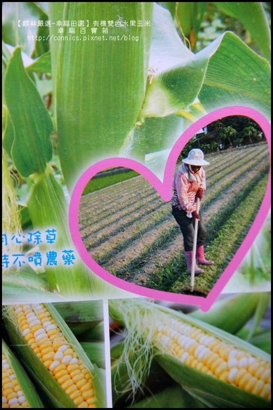 DSC02595.JPG DSC02595.JPG