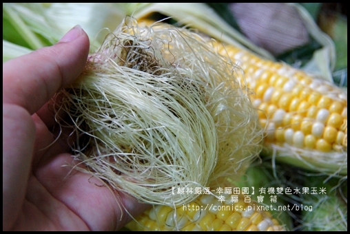 DSC02630.JPG DSC02630.JPG