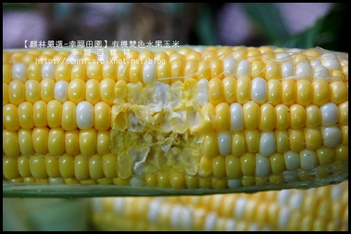 DSC02633.JPG DSC02633.JPG