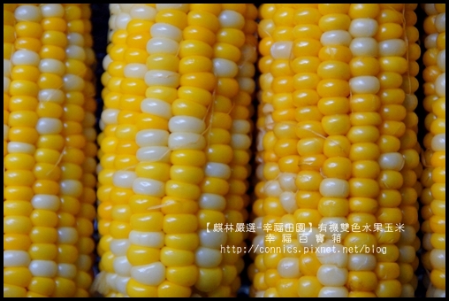 DSC02647.JPG DSC02647.JPG