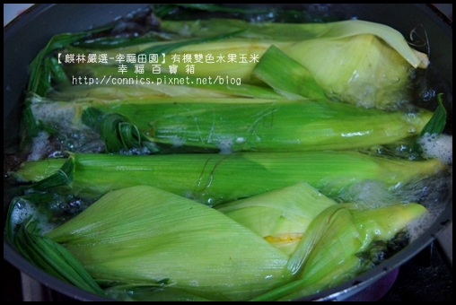 DSC02639.JPG DSC02639.JPG