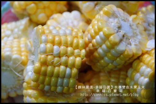 DSC02729.JPG DSC02729.JPG