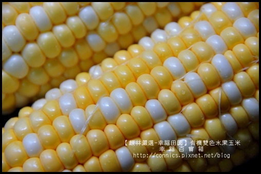 DSC02727.JPG DSC02727.JPG