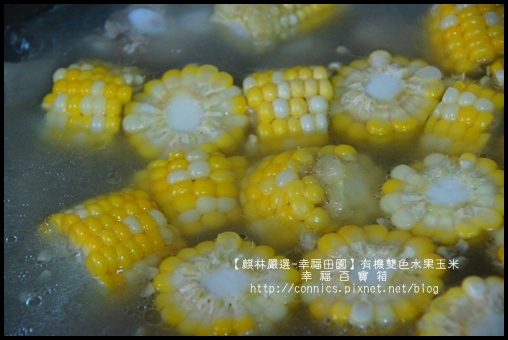 DSC02735.JPG DSC02735.JPG