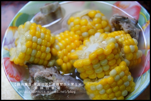 DSC02743.JPG DSC02743.JPG