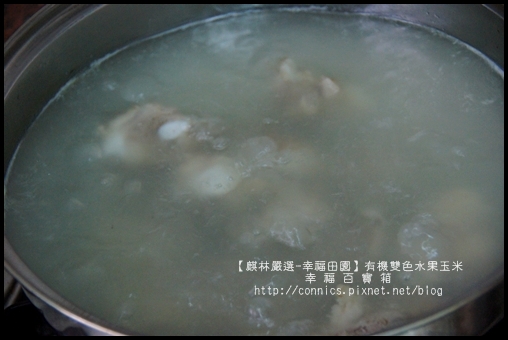 DSC02730.JPG DSC02730.JPG