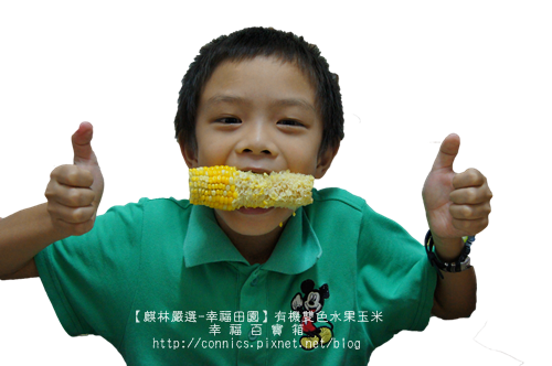 DSC02702.png DSC02702.png