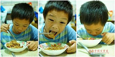 cats11.jpg cats11.jpg