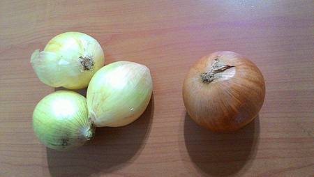 洋蔥.jpg
