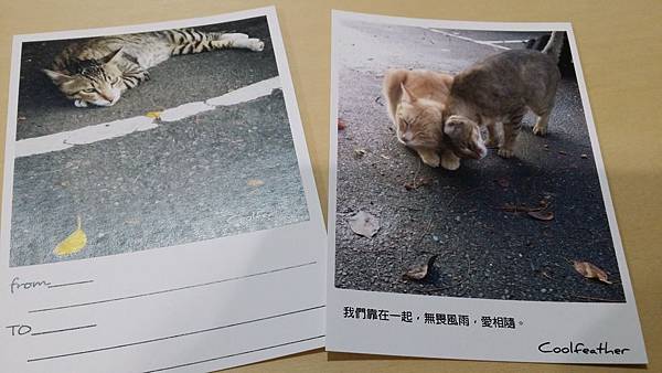 20141213_004305_1_bestshot 20141213_004305_1_bestshot