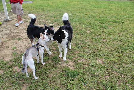 IMG_1353 IMG_1353