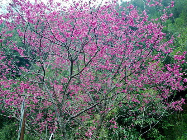 影像0265.jpg 影像0265.jpg