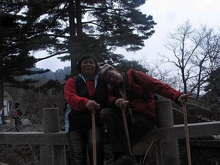 IMG_6879.JPG IMG_6879.JPG