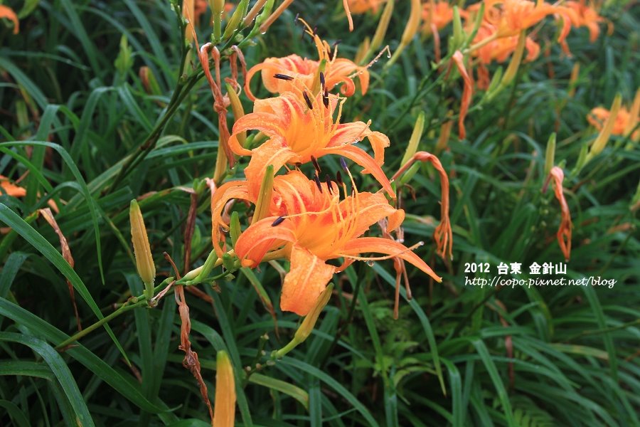 IMG_7448.JPG IMG_7448.JPG