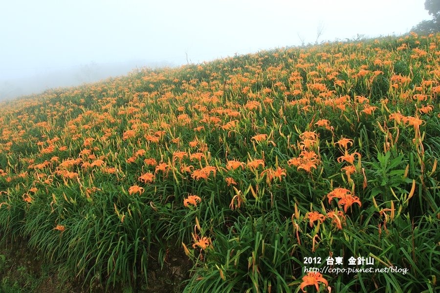 IMG_7453.JPG IMG_7453.JPG