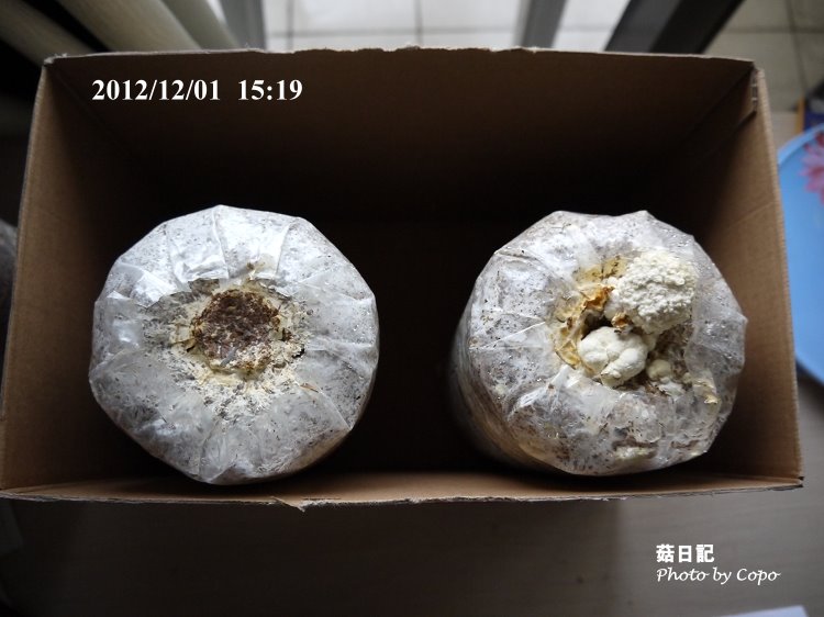 P1040280.JPG P1040280.JPG