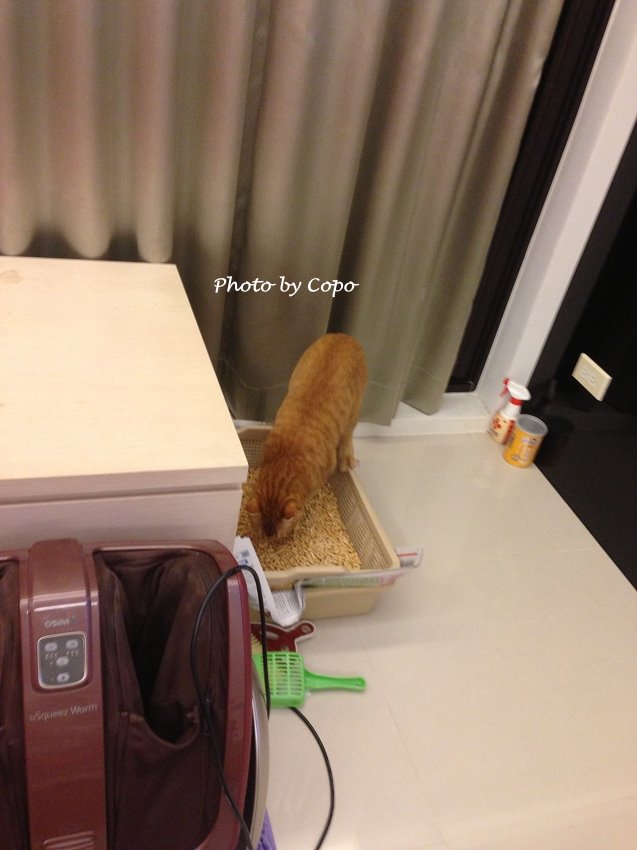 IMG_0597.jpg IMG_0597.jpg