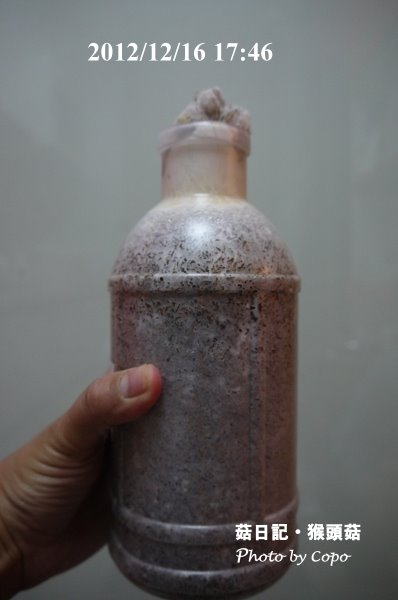 P1040740.JPG P1040740.JPG