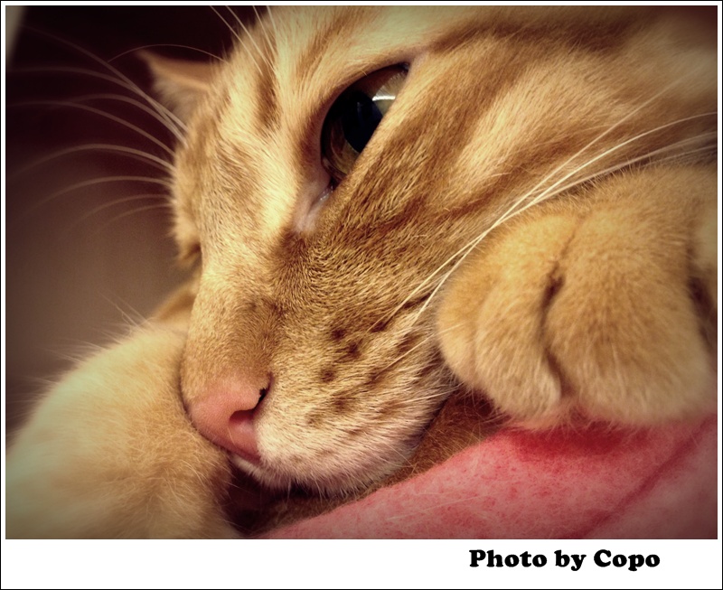 2013-03-03 01.25.35 2013-03-03 01.25.35