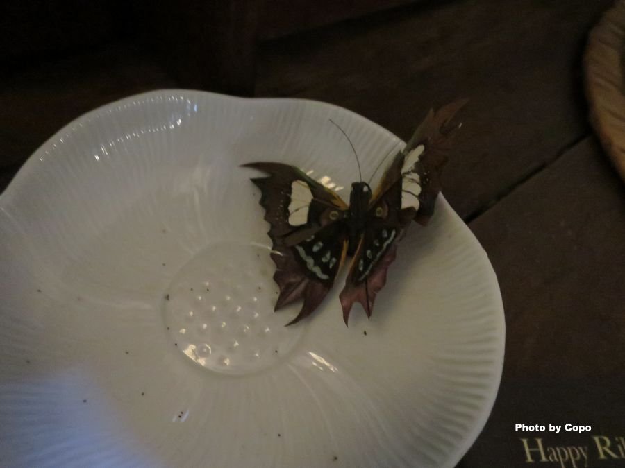 IMG_3750.JPG IMG_3750.JPG