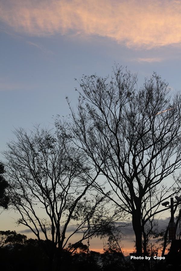 IMG_2396.JPG IMG_2396.JPG