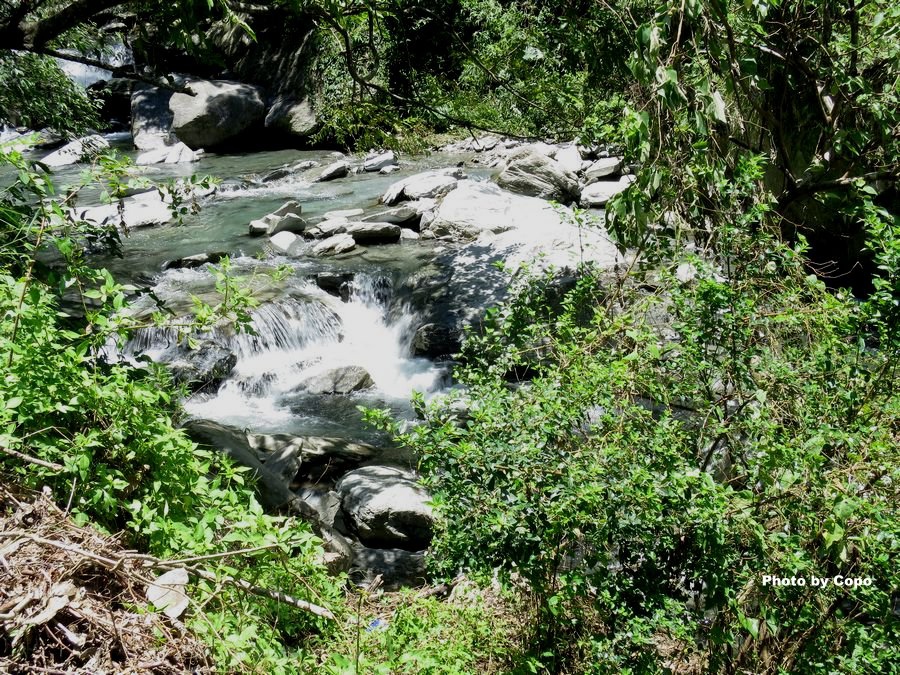 IMG_4305.JPG IMG_4305.JPG