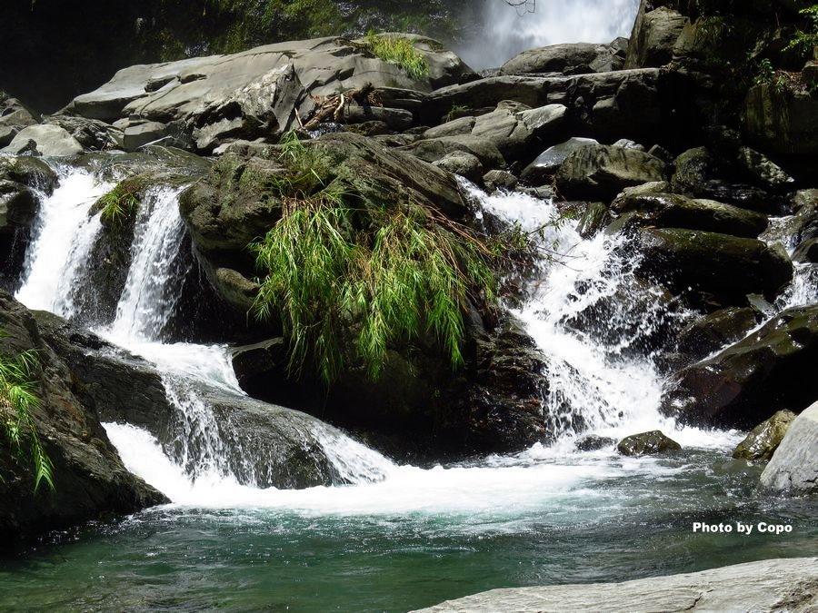 IMG_4317.JPG IMG_4317.JPG