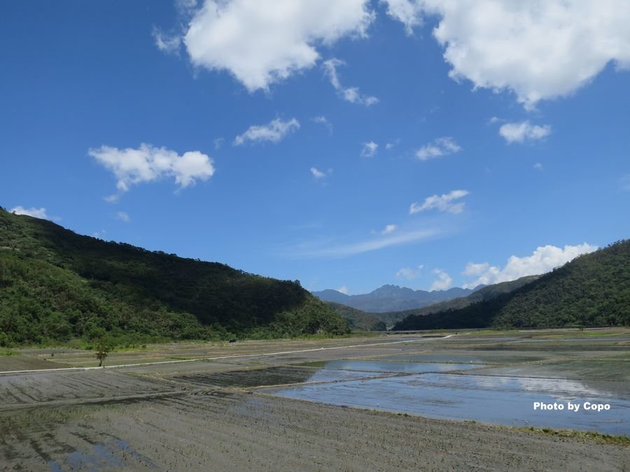 IMG_4345.JPG IMG_4345.JPG